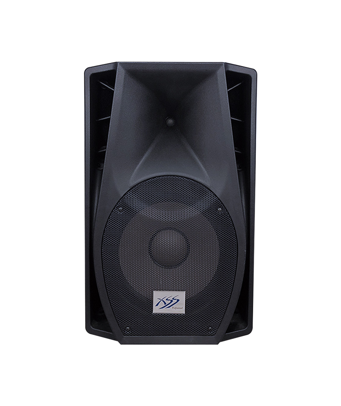 SB121 – XSS Profesional